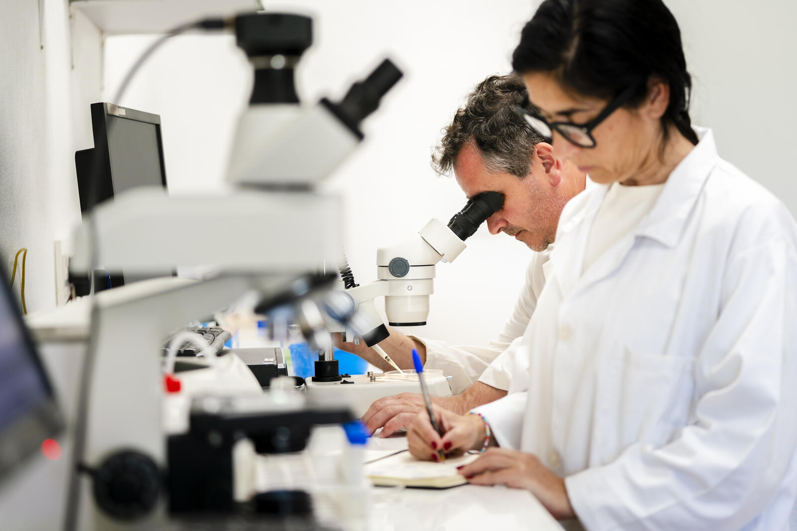 Webinar Sostenibilidad